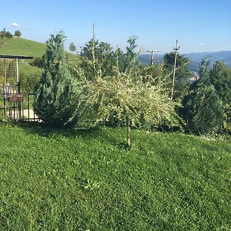 Сasa de vacaciones Holiday Mrkovici
